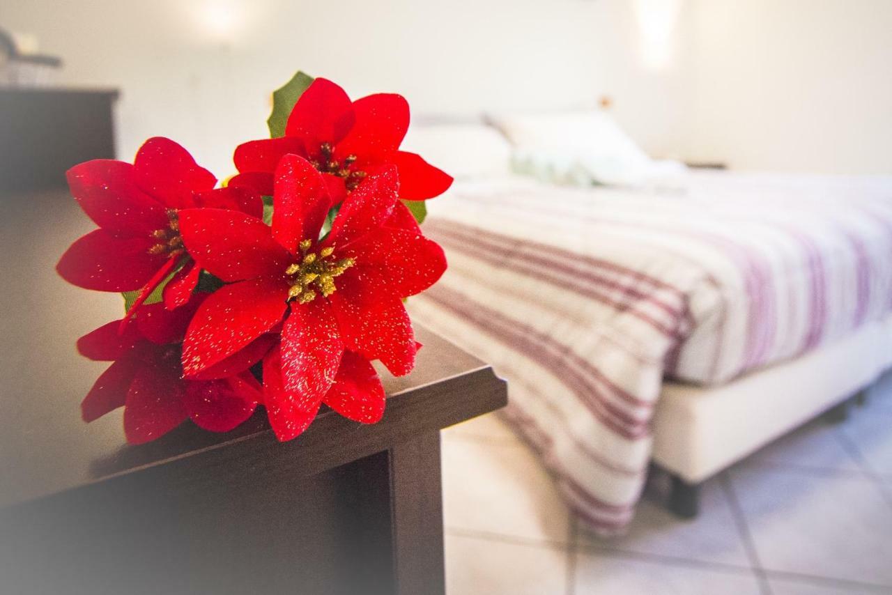 Bed and Breakfast Adria Bella Locazione Turistica Екстер'єр фото
